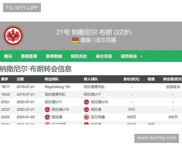 新晋球队成功进入德甲的历程与挑战分析